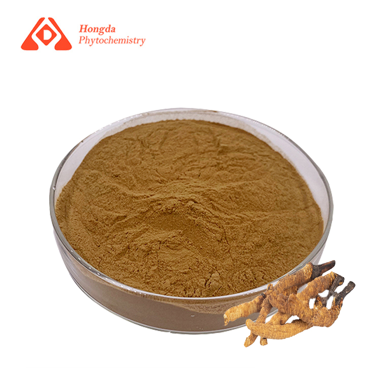 Cordyceps Sinensis Extract Powder